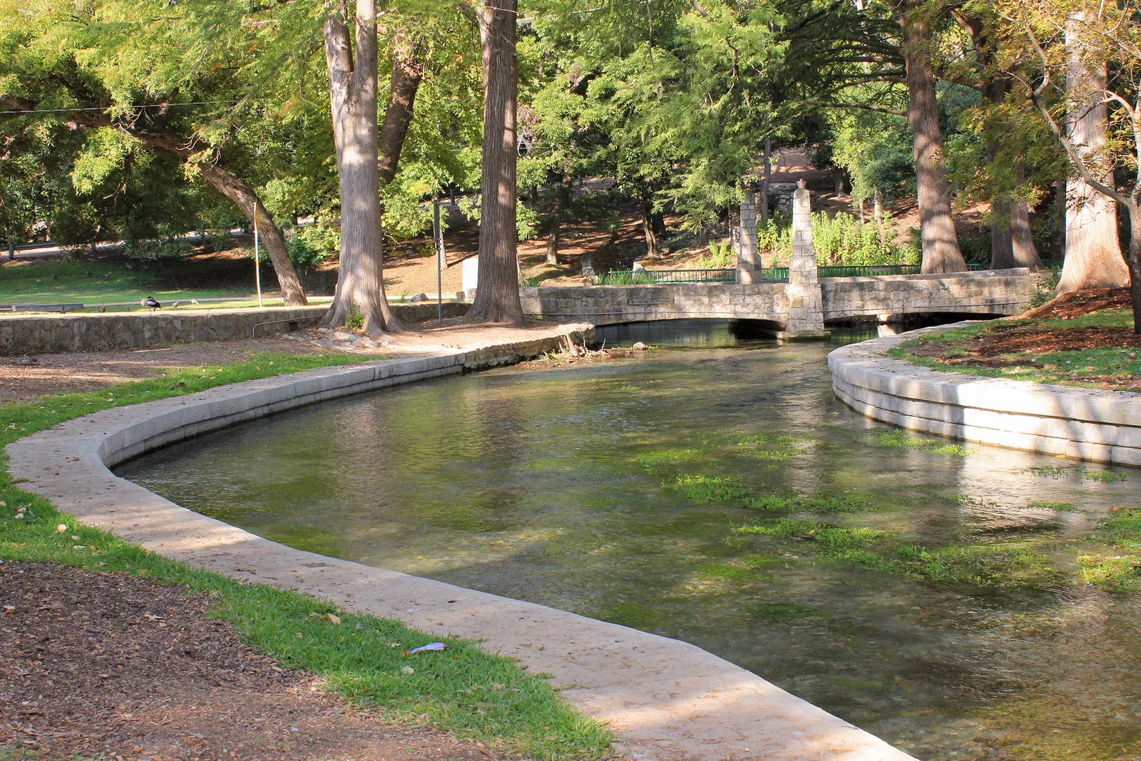 The spring-fed Comal River flowing through Landa Park